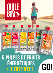 Mulebar pulpes de fruit