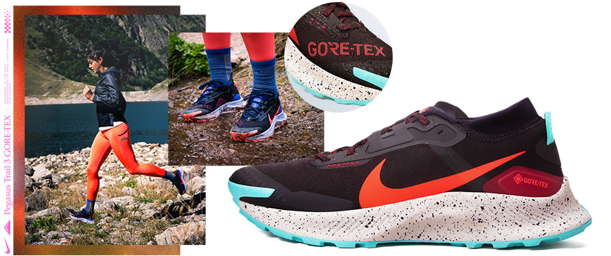 Nike pegasus trail 3 gore-tex