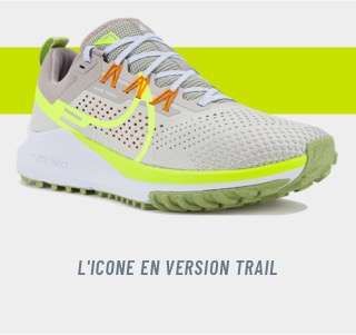 Nike Pegasus Trail 4