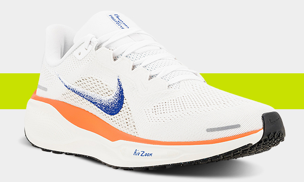 PEGASUS 41