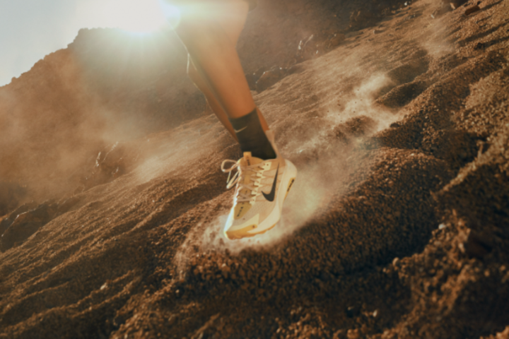 Chaussures de trail Nike Wildhorse 10 en solde