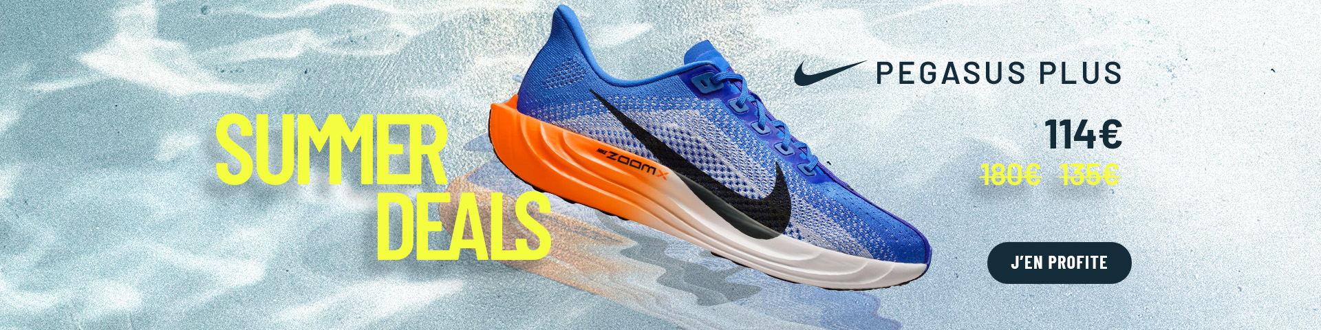 Chaussures Nike Pegasus Plus