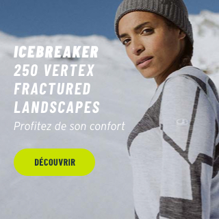 Icebreaker 250 Vertex