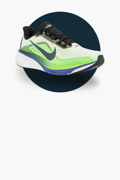 Nike Pegasus 42