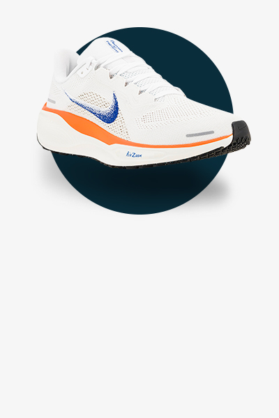 Nike Pegasus 41