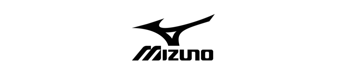Mizuno Section