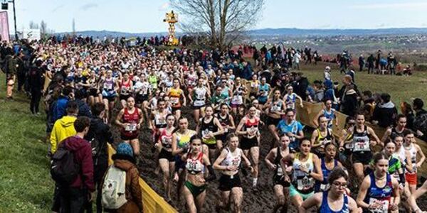 pointes athlé pour le cross country