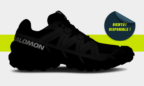 SALOMON GENESIS 2